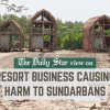 Resort business in Sundarbans Resort business in Sundarbans