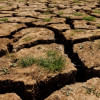 World Environment Day: Land the size of Dhaka city degrades every year World Environment Day: Land the size of Dhaka city degrades every year