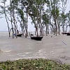 losses caused by cyclone remal losses caused by cyclone remal