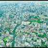 Want to tackle the urban heatwave-dengue-flooding saga? Restore urban ecosystems. We should put an end to the insane act of destroying nature
