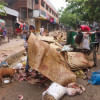 All animal waste cleared in Dhaka south in 10 hrs: DSCC All animal waste cleared in Dhaka south in 10 hrs: DSCC