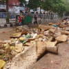 All sacrificial animal waste removed within 6 hours: DNCC All sacrificial animal waste removed within 6 hours: DNCC
