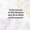 forex reserves falls after ACU payment forex reserves falls after ACU payment