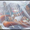 Confronting Dengue: A Call to Collaboration dengue,