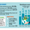 impact of remittances on forex market impact of remittances on forex market