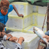 Bangladesh's Hilsa Shipment to India for Durga Puja 2024 Bangladesh's Hilsa Shipment to India for Durga Puja 2024