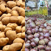 Potato, onion prices fall after duty cut: tariff commission Potato, onion prices fall after duty cut: tariff commission