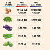 Drop in prices of eggs, veggies brings relief Drop in prices of eggs, veggies brings relief