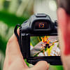Level up your photography skills—5 YouTube channels to follow now  Level up your photography skills—5 YouTube channels to follow now