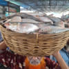 hilsa export to India hilsa export to India