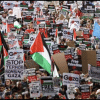 International Day for Tolerance : A global wake-up call International Day for Tolerance : A global wake-up call