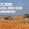 Stop illegal brick kilns in Brahmanbaria