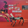 KAIST RAIBO2 KAIST RAIBO2