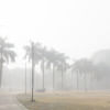 Dust, mosquitoes, dry skin: Dhaka’s real winter dilemmas Dust, mosquitoes, dry skin: Dhaka’s real winter dilemmas