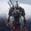 Witcher 3 Witcher 3