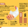 High poultry feed costs despite global drop High poultry feed costs despite global drop