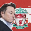 elon_musk_x_liverpool elon_musk_x_liverpool