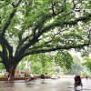 Restricting Dhaka University: When safety meets public outrage Restricting Dhaka University: When safety meets public outrage
