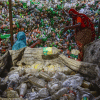 The plastic paradox The plastic paradox
