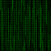 green matrix green matrix