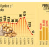Average retail price of potato in Dhaka Average retail price of potato in Dhaka