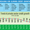 Reasons for Slowing Credit Growth Reasons for Slowing Credit Growth