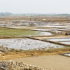 salt farming Bangladesh salt farming Bangladesh