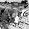 Bangladesh Liberation War,