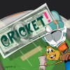 Saudi Arabia cricket league   Saudi Arabia cricket league