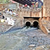 Sewage pollution killing city’s water bodies Sewage pollution killing city’s water bodies
