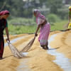 women in agriculture women in agriculture