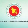 consensus commission upper house seat plan consensus commission upper house seat plan