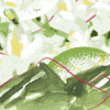 Graphical representation of the fleeting nature of spring Graphical representation of the fleeting nature of spring