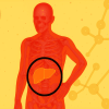 How to reverse fatty liver naturally: Expert-recommended diet tips How to reverse fatty liver naturally: Expert-recommended diet tips