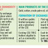 First commodity exchange may launch this year First commodity exchange may launch this year