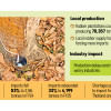 Bangladesh rubber imports rise 33 percent FY25 Bangladesh rubber imports rise 33 percent FY25