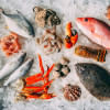 Want better focus and health? Add more fish to diet Want better focus and health? Add more fish to diet