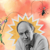 Tribute to Roald Dahl Tribute to Roald Dahl