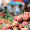 litchi Dinajpur  litchi Dinajpur