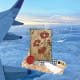 City-of-postcards.jpg