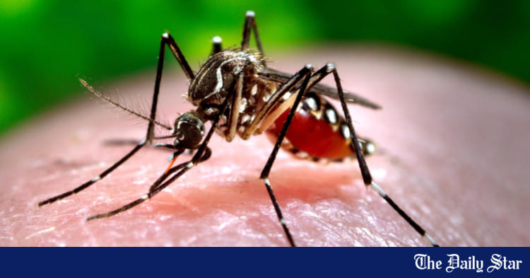 Simple habits to keep your family safe from chikungunya