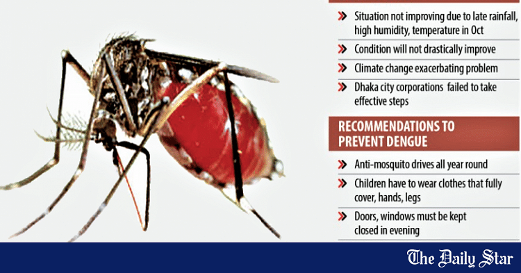 Why are dengue cases still rising in November? | The Daily Star