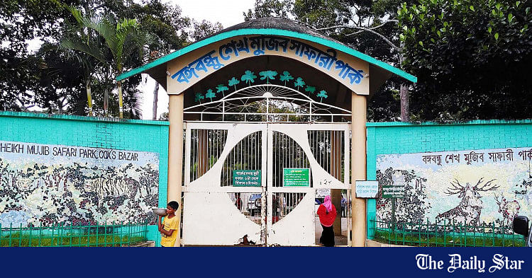 File:Royal Bengal Tiger in Bangabandhu Sheikh Mujib Safari Park.jpg -  Wikipedia