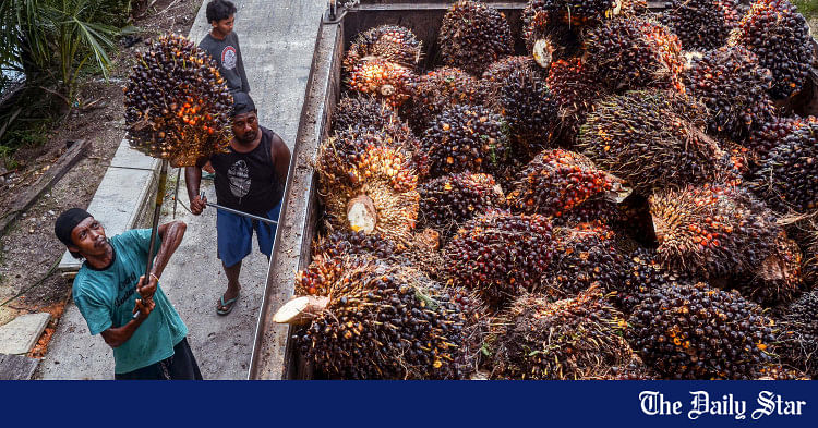 Indonesia Imposes Ban On Palm Oil Export From Today | The Daily Star