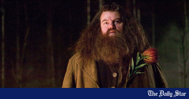 Rubeus Hagrid: Remembering The Gentle Giant Who Stole Our Hearts | The ...