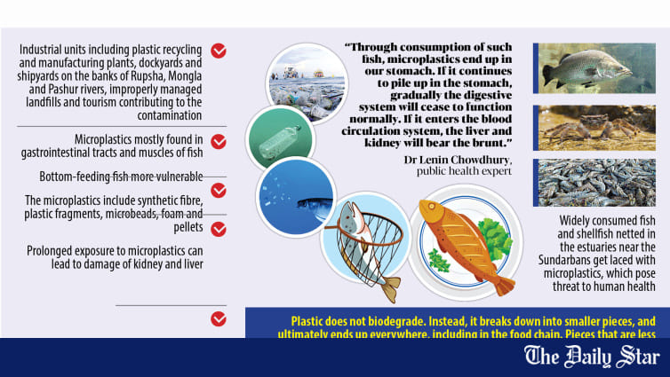 Fish under threat, humans too - Vimarsana News