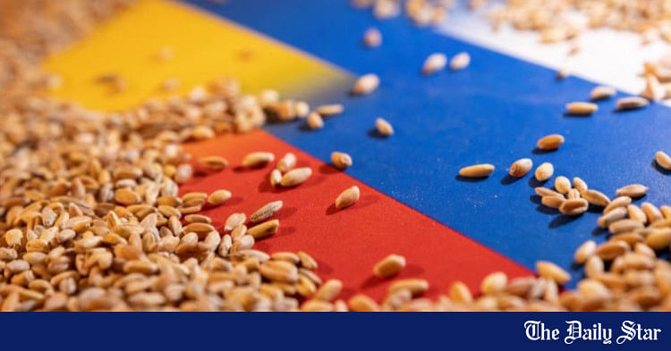 Russia Agrees To 60-day Ukraine Grain Deal Extension | The Daily Star