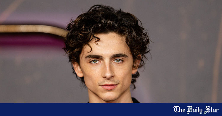 Timothée Chalamet To Do His Own Singing For Bob Dylan Biopic | The ...