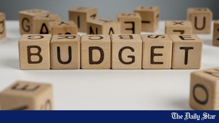 No new pay scale, govt staffers to get 20% dearness allowance in new budget - Vimarsana News