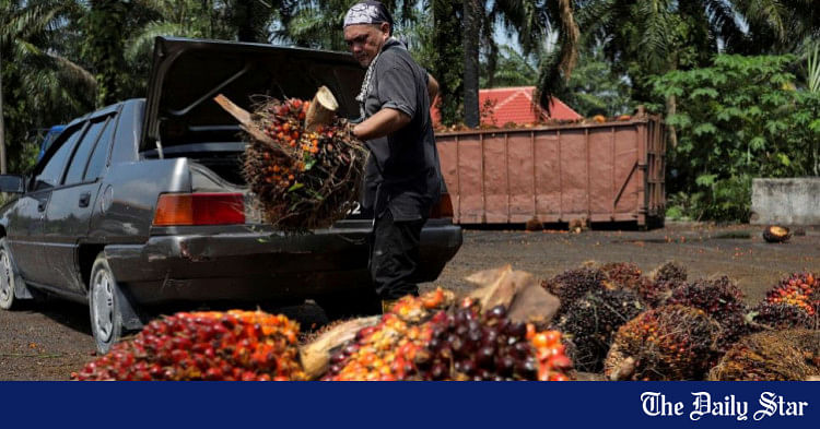 Indonesia, Malaysia Aim To Fight 'discrimination' Against Palm Oil ...